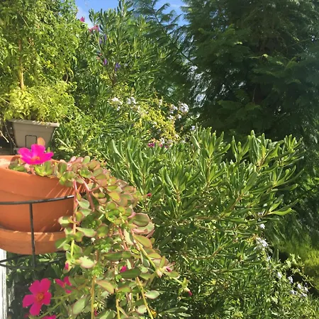 Bed & Breakfast Charmante Privee 5/10 Mn Du Centreville/port-jardin/parking
